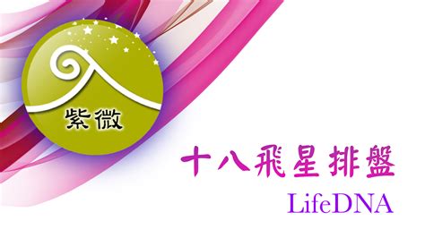 lifedna 紫 微 命盤 免費 分析